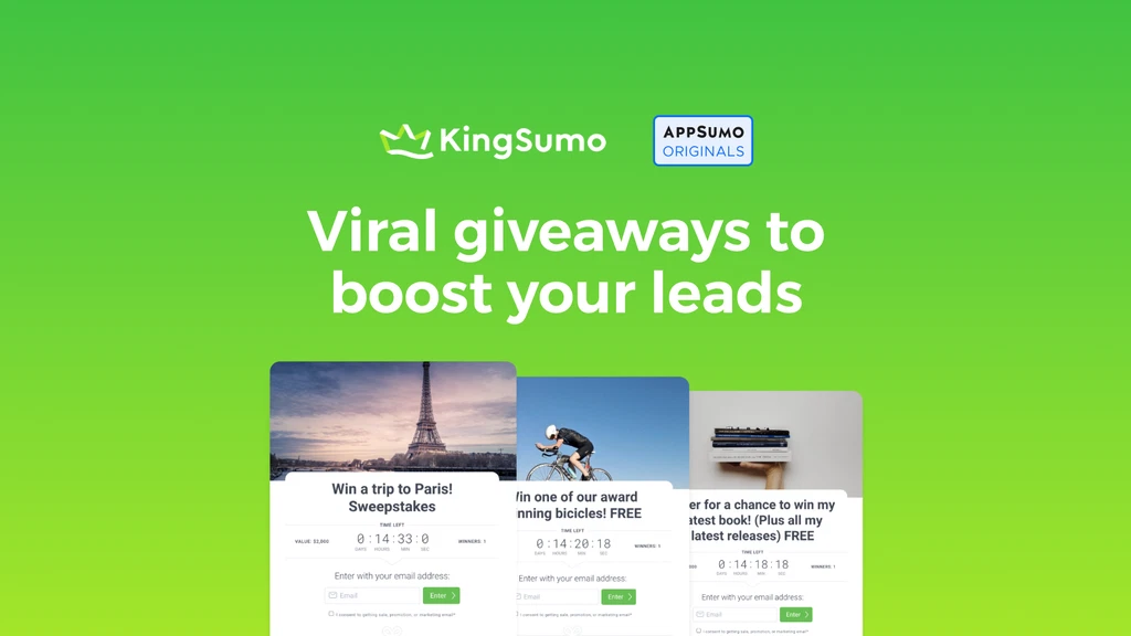 KingSumo Review
